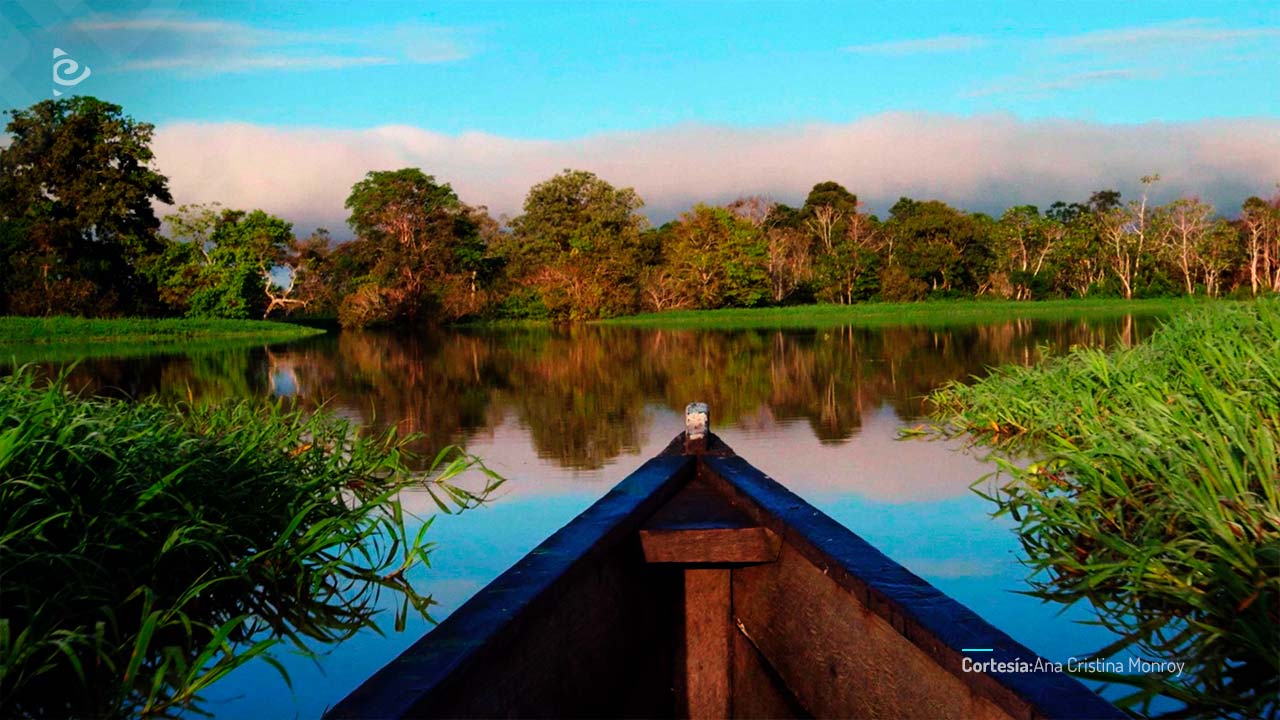 Un viaje a lo desconocido.