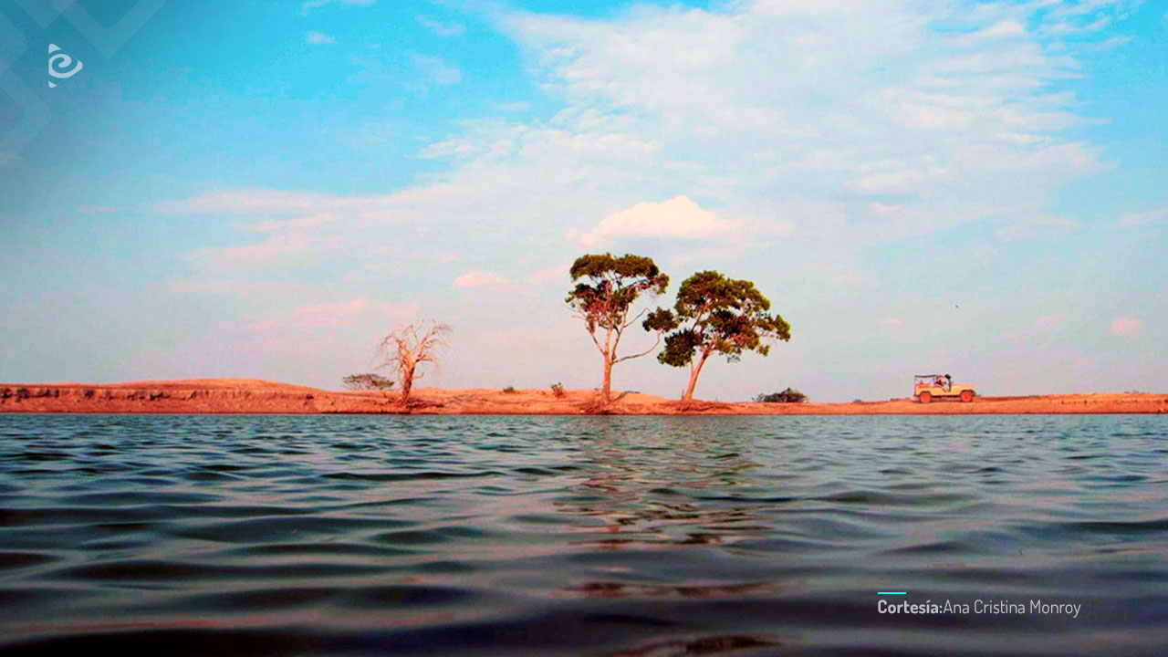 Amazonas Colombiano.