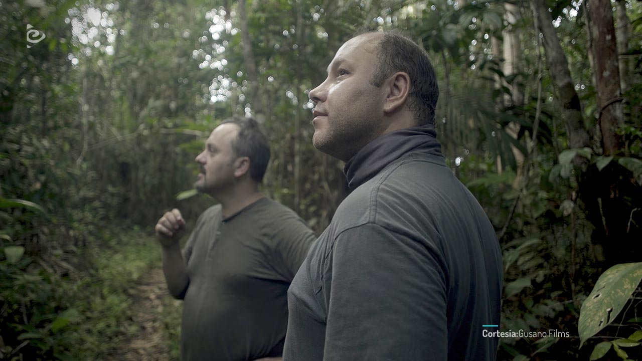 Dos hermanos en busca de respuestas.