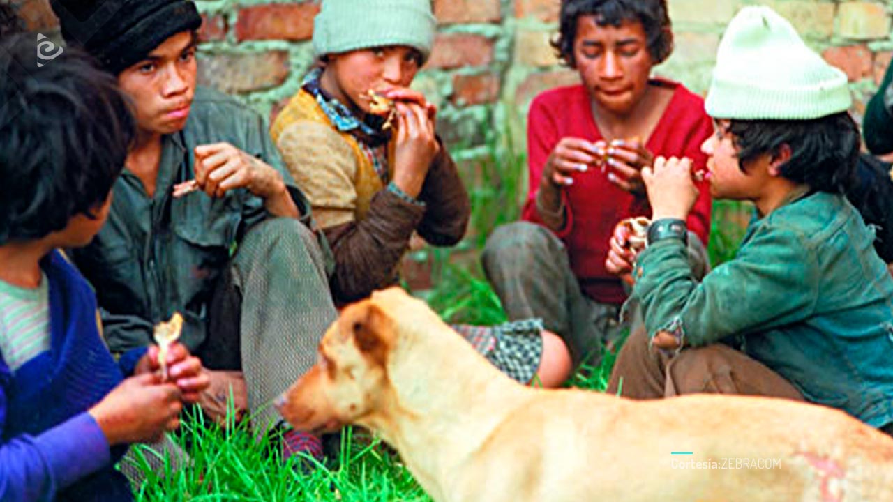 Disfrutando un manjar entre amigos.