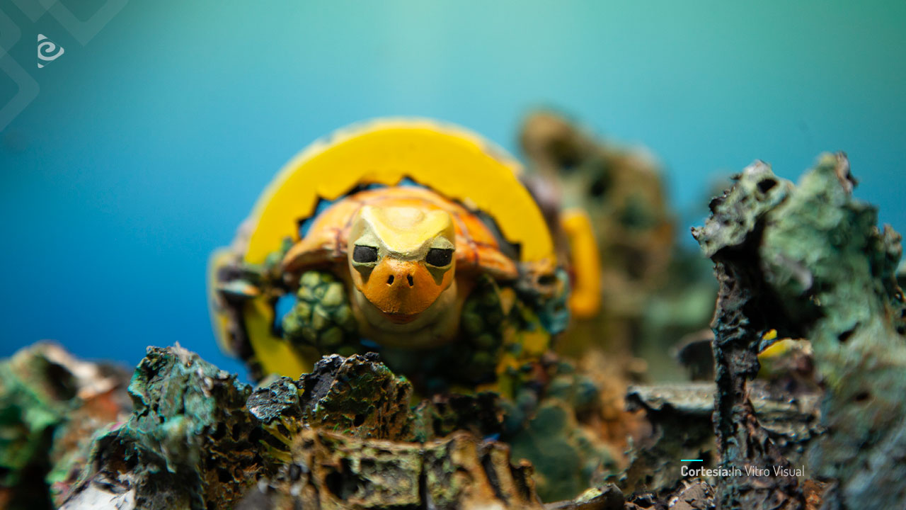 Tortuga atrapada en el plástico.