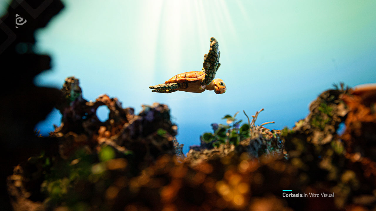 Nadando en un océano lleno de plástico.