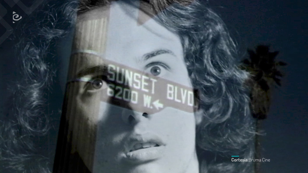 El sueño de Andrés.