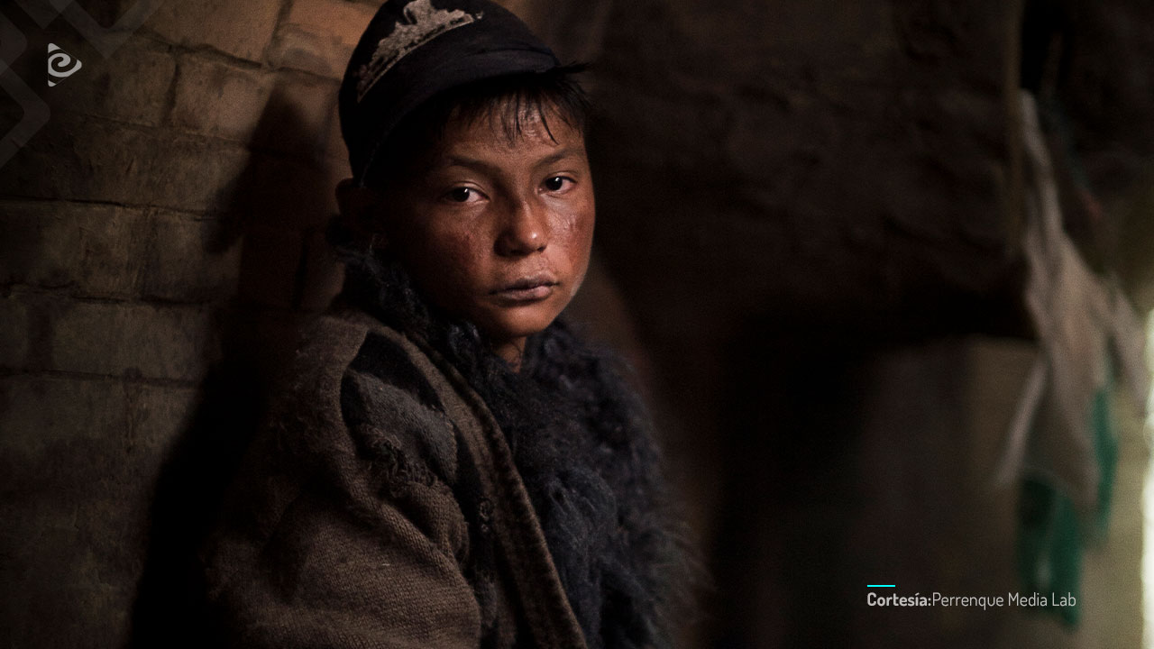 La ingenua libertad en Bogotá.