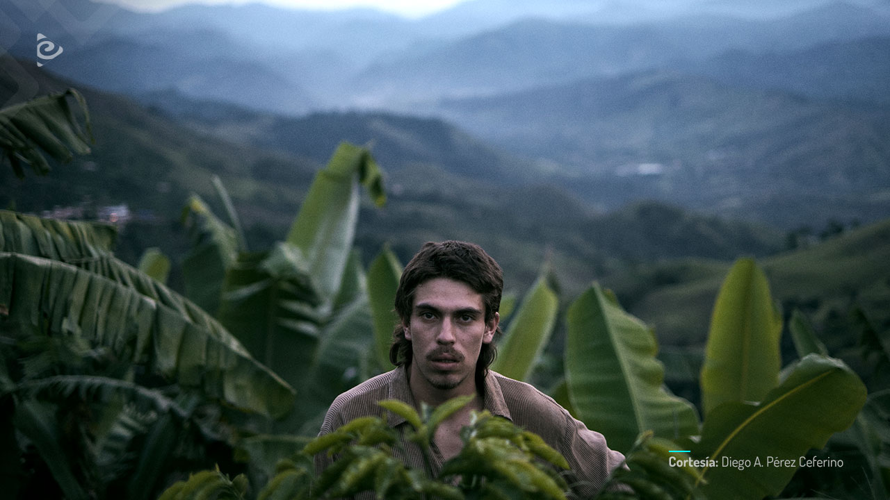 La roya, película de ficción colombiana, coproducida por RTVCPlay