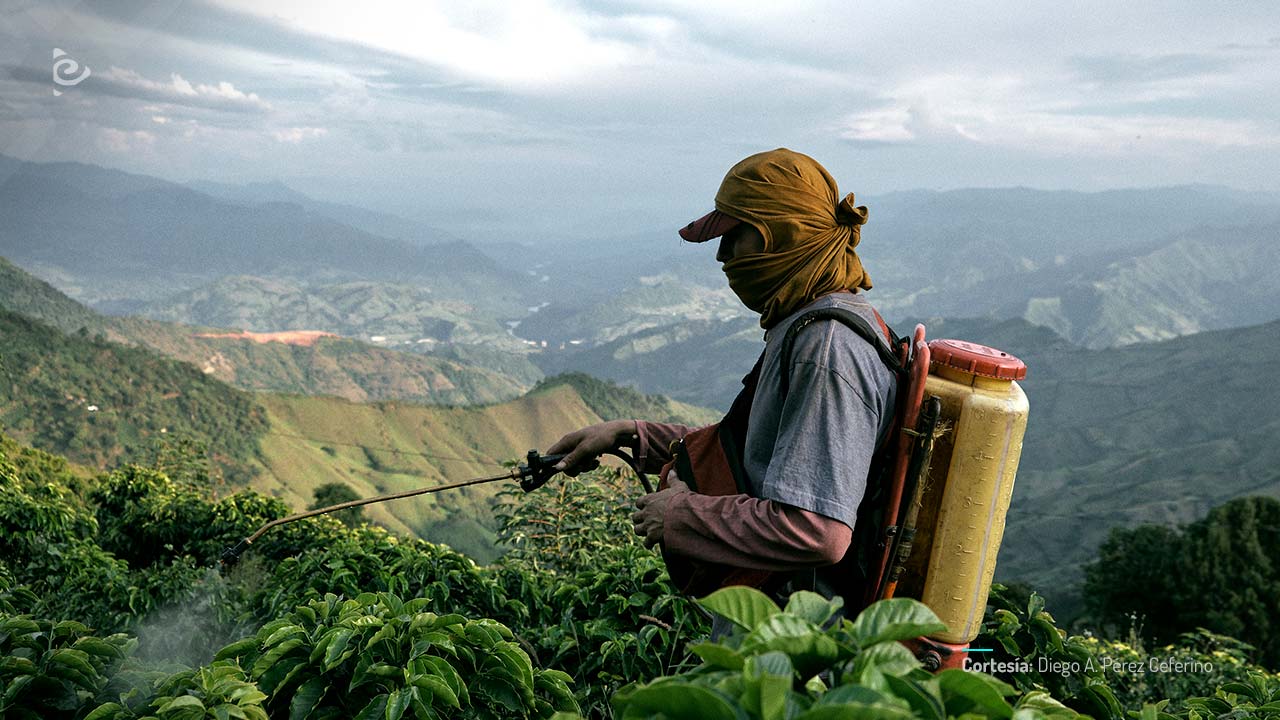 La roya, película de ficción colombiana, coproducida por RTVCPlay