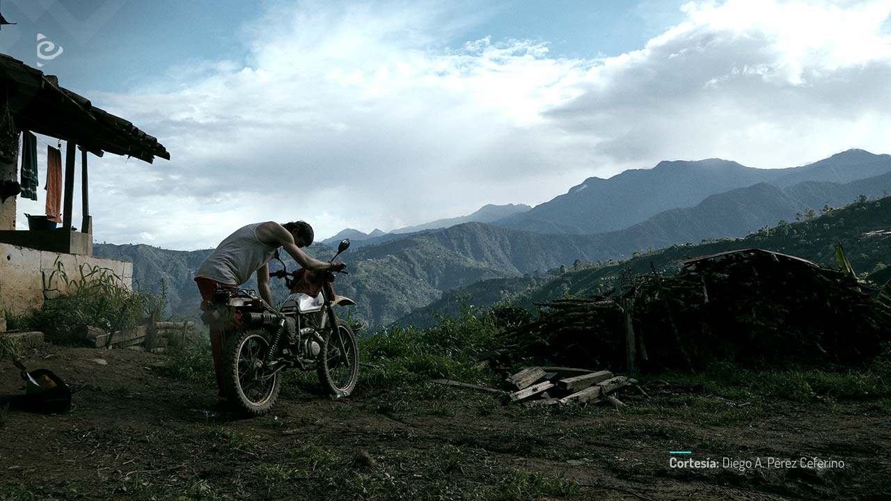 La roya, película de ficción colombiana, coproducida por RTVCPlay