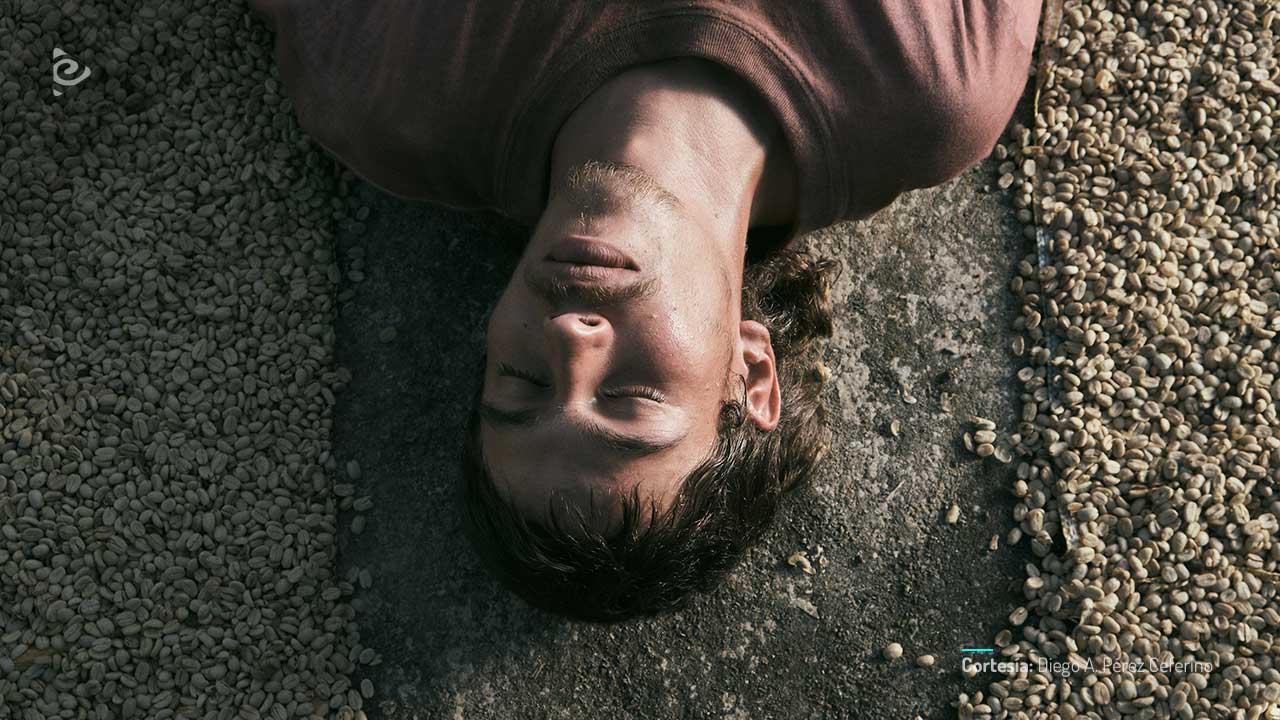 La roya, película de ficción colombiana, coproducida por RTVCPlay