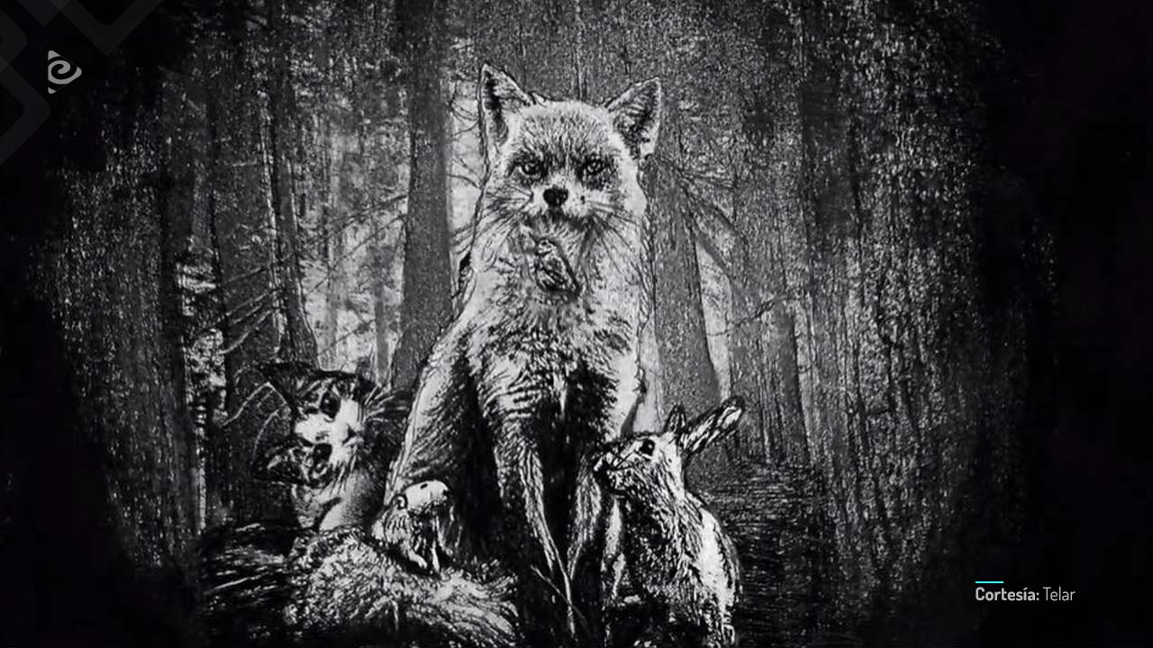 Naranjas sin piel, cortometraje documental colombiano