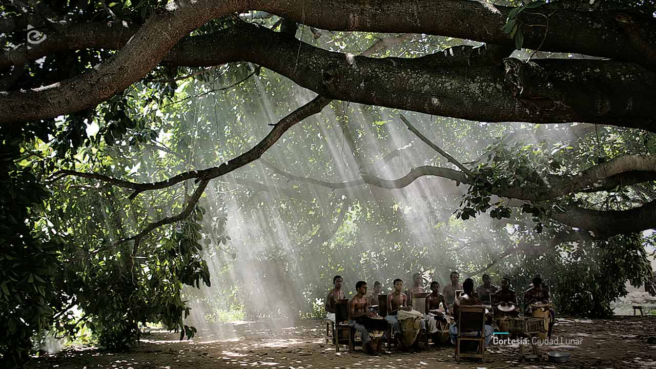 Los viajes del viento, película colombiana completa en RTVCPlay