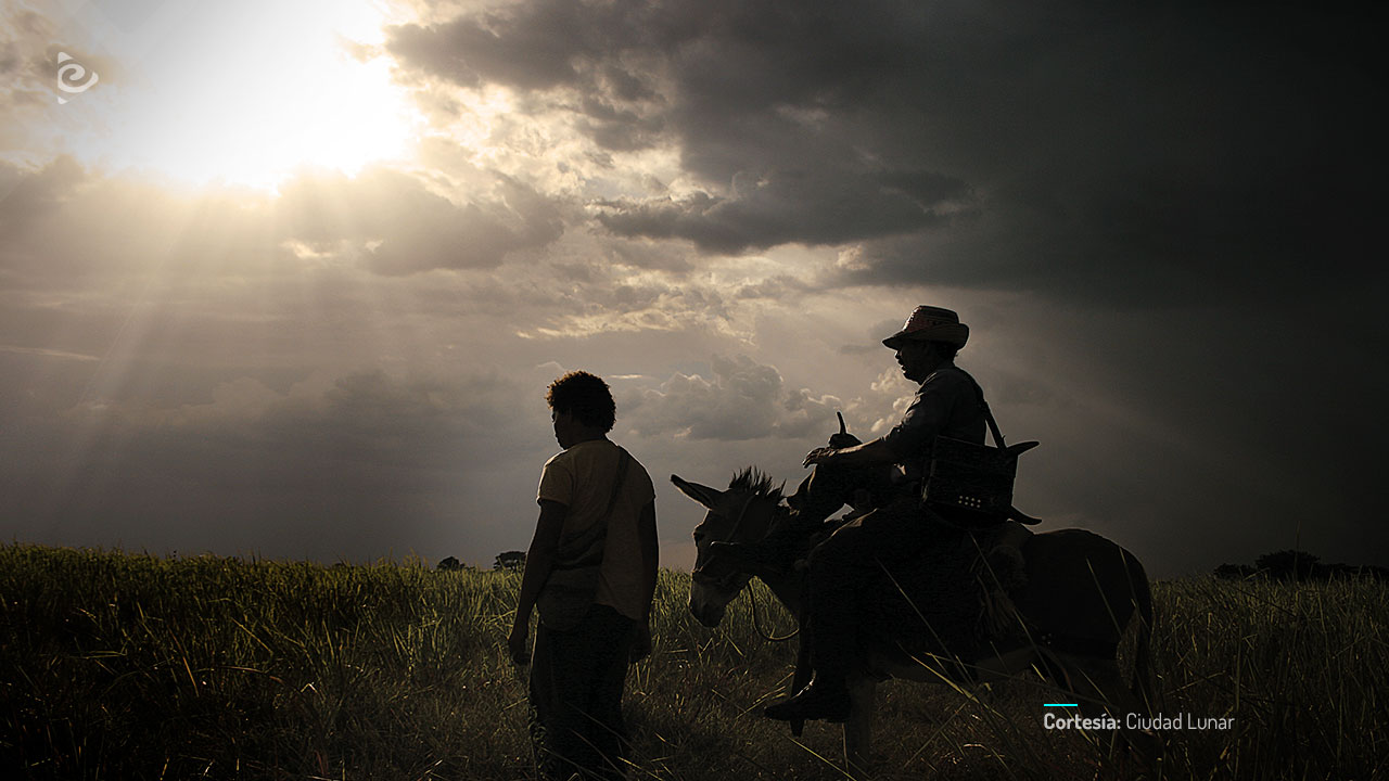 Los viajes del viento, película colombiana completa en RTVCPlay