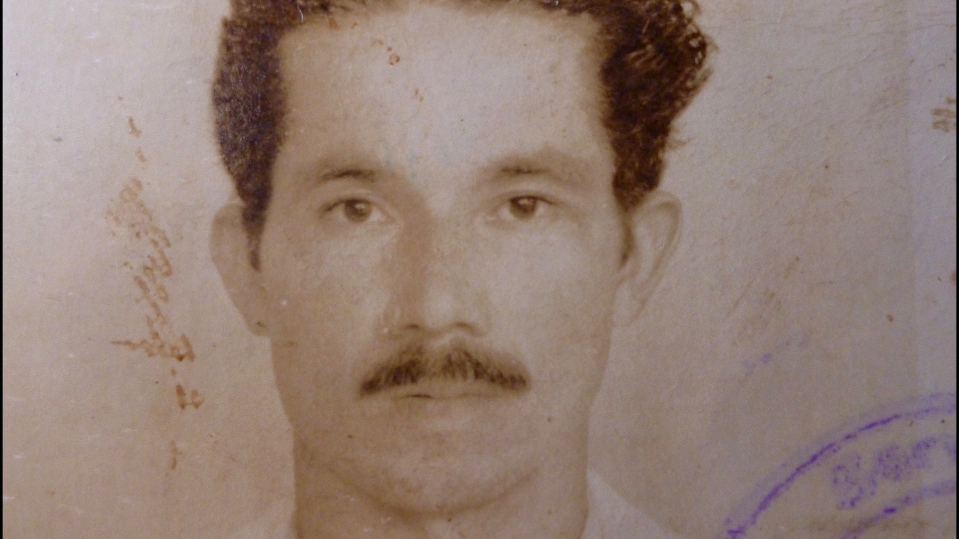 El árbol de Matías, documental colombiano completo, en RTVCPlay