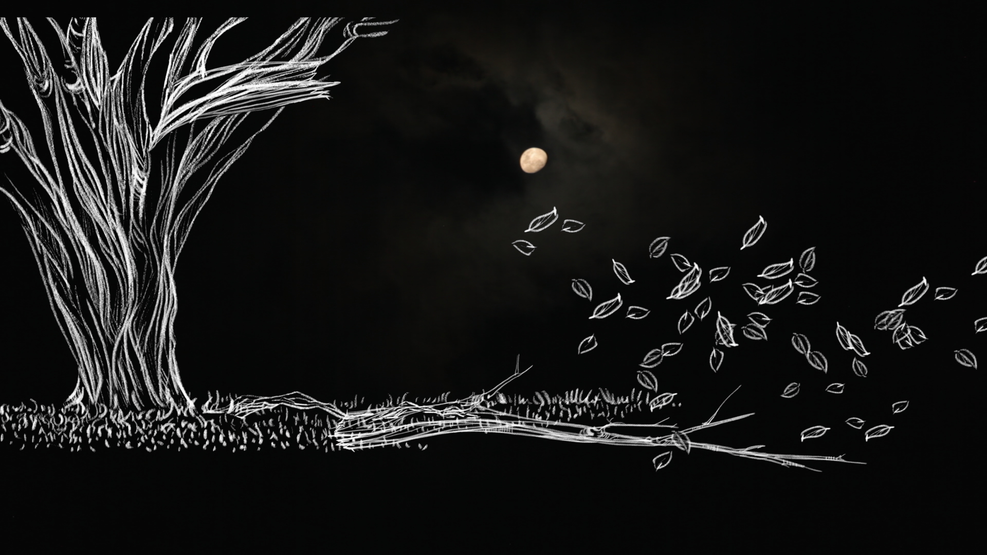 El árbol de Matías, documental colombiano completo, en RTVCPlay