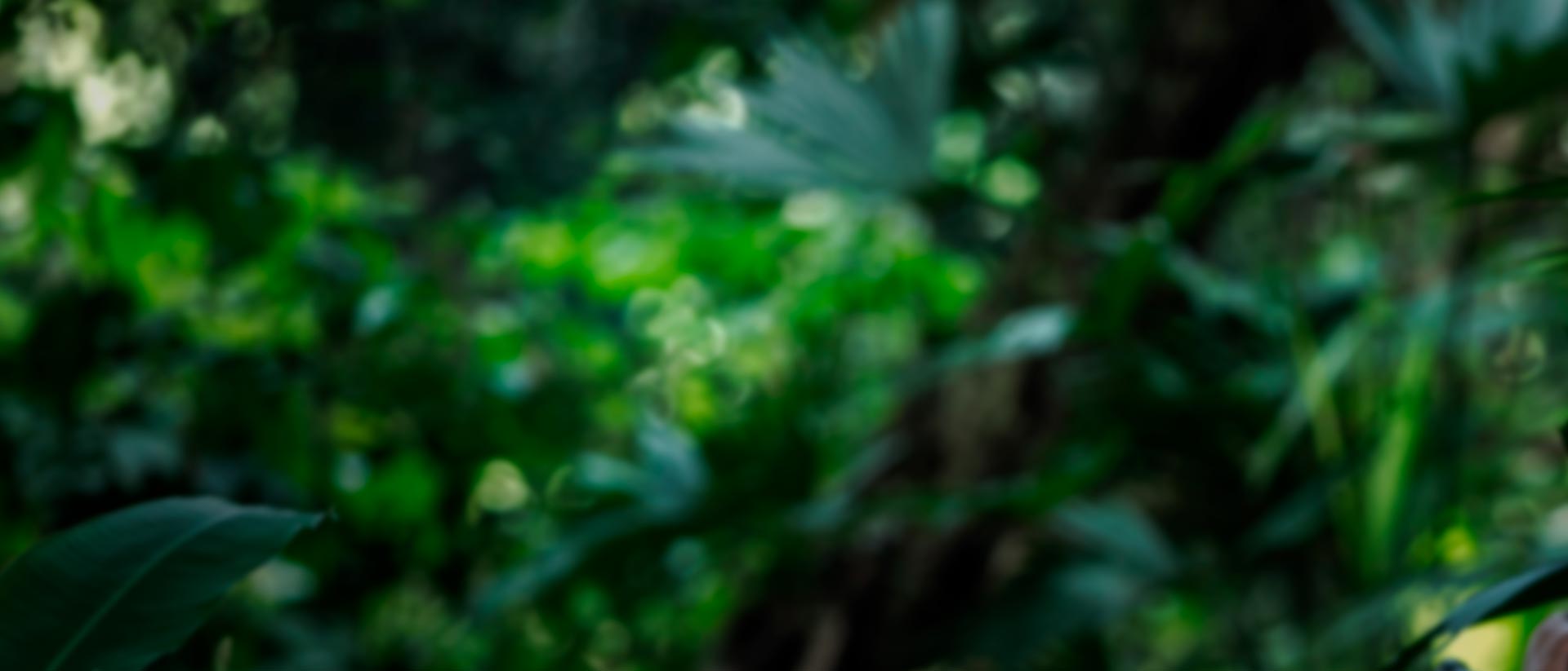 Erick Ruiz personifica a Yuldor en la película colombiana Alias María