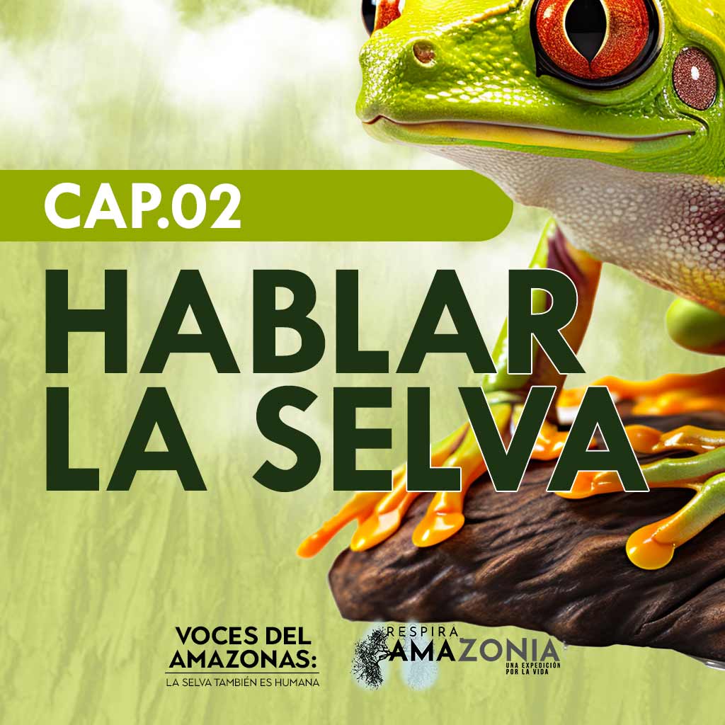 Escucha el capítulo “Hablar la selva” del pódcast Voces del Amazonas en la plataforma de streaming de todos los colombianos: RTVCPlay