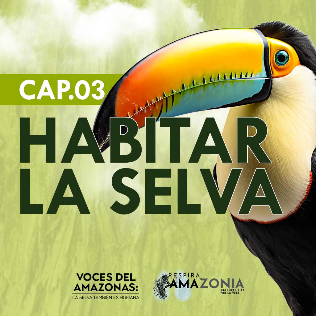 Escucha el capítulo “Habitar la selva” del pódcast Voces del Amazonas en la plataforma de streaming de todos los colombianos: RTVCPlay