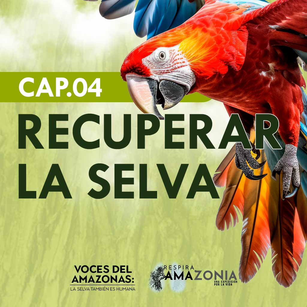 Escucha el capítulo “Recuperar la selva” del pódcast Voces del Amazonas en la plataforma de streaming de todos los colombianos: RTVCPlay