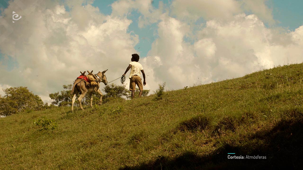 Chakero, cortometraje colombiano completo, en RTVCPlay