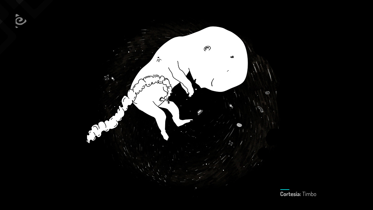 Virus tropical, película colombiana completa, en RTVCPlay