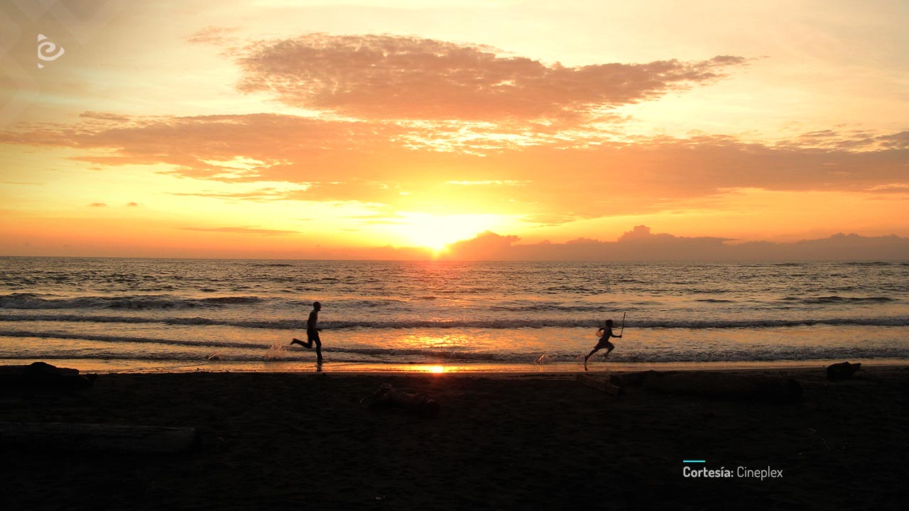 El vuelco del cangrejo, película colombiana completa, en RTVCPlay