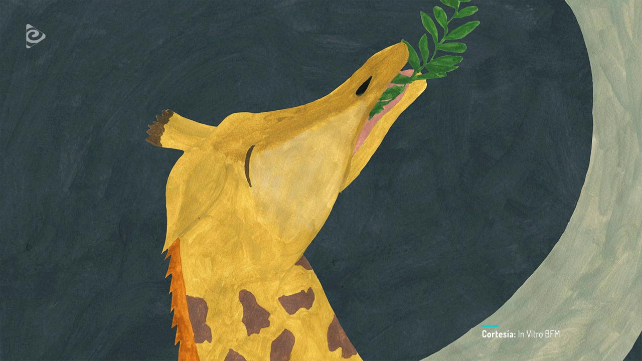 Coffee break, cortometraje animado colombiano completo, en RTVCPlay