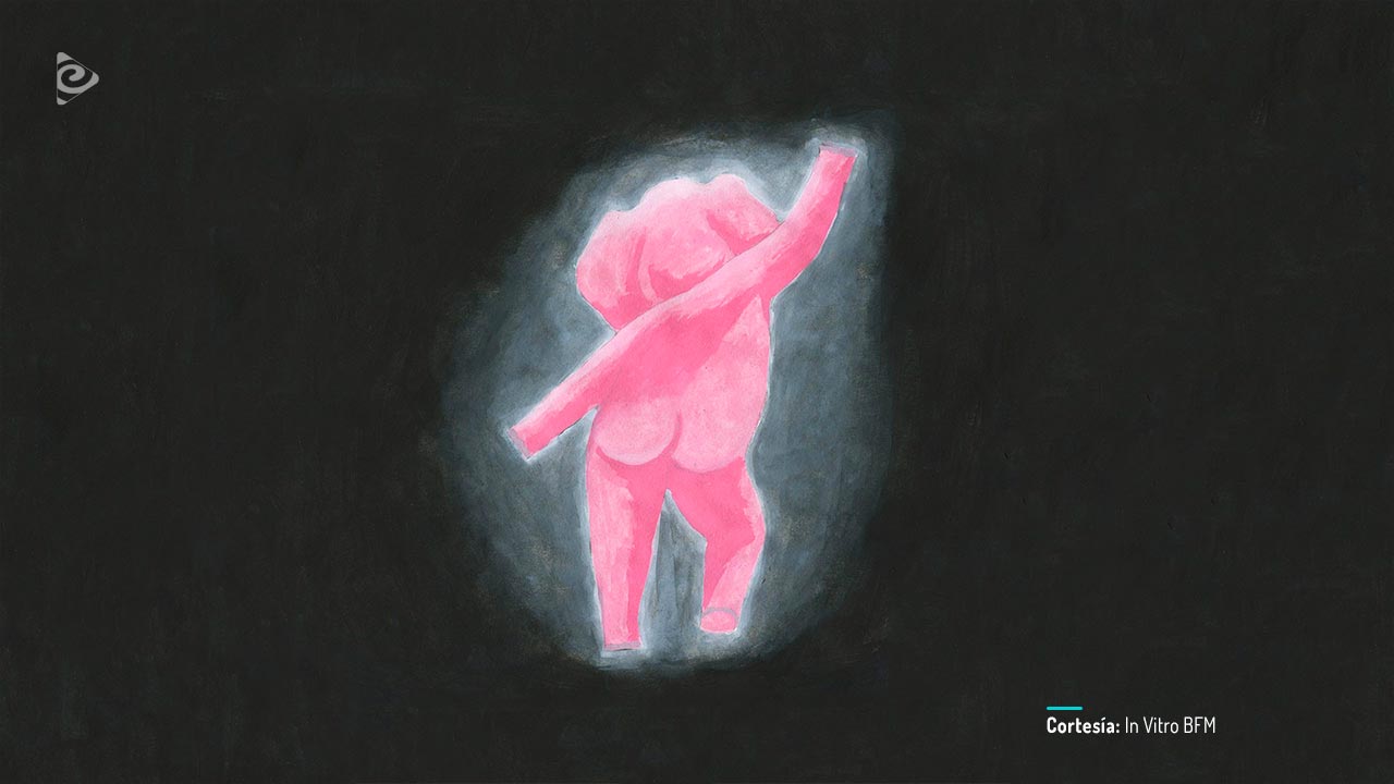 Coffee break, cortometraje animado colombiano completo, en RTVCPlay