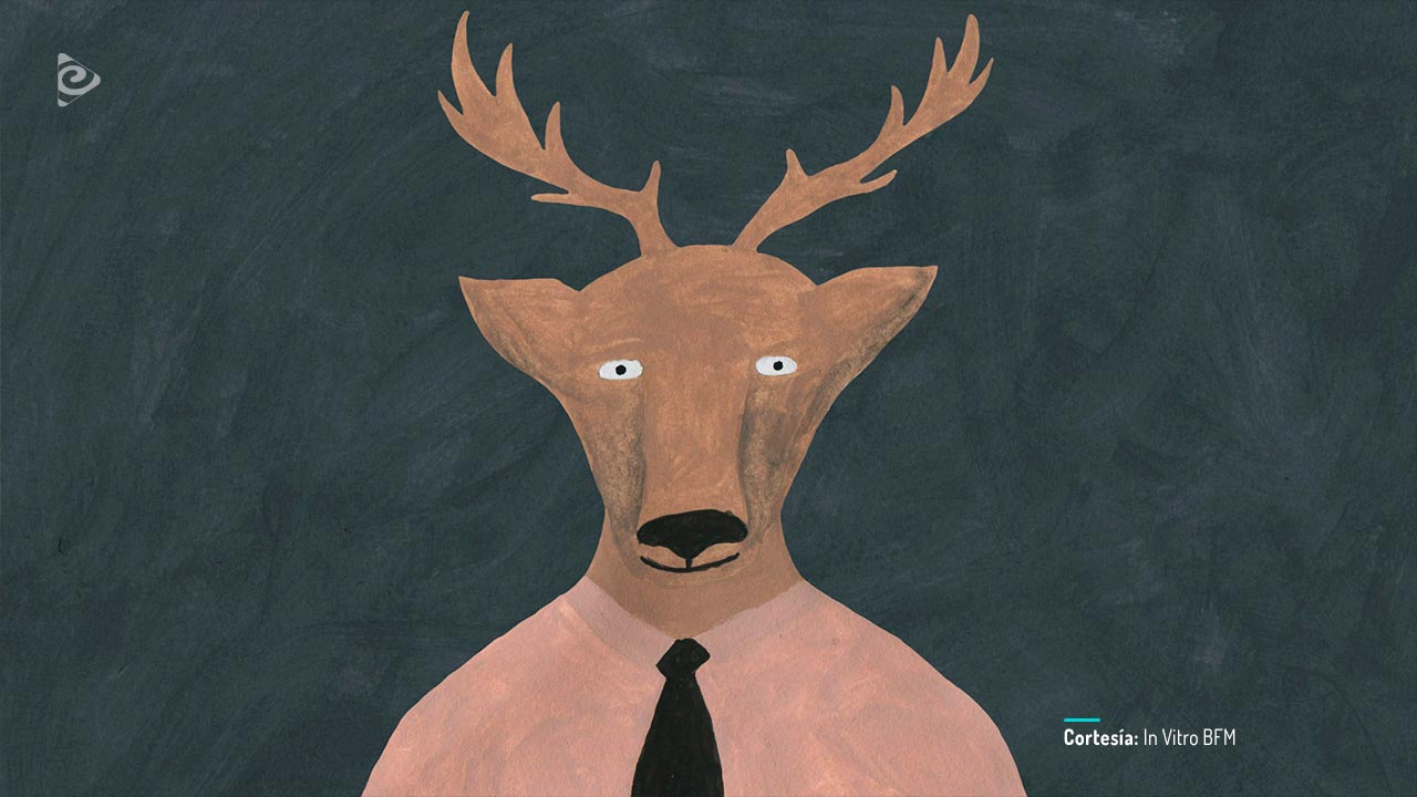 Coffee break, cortometraje animado colombiano completo, en RTVCPlay