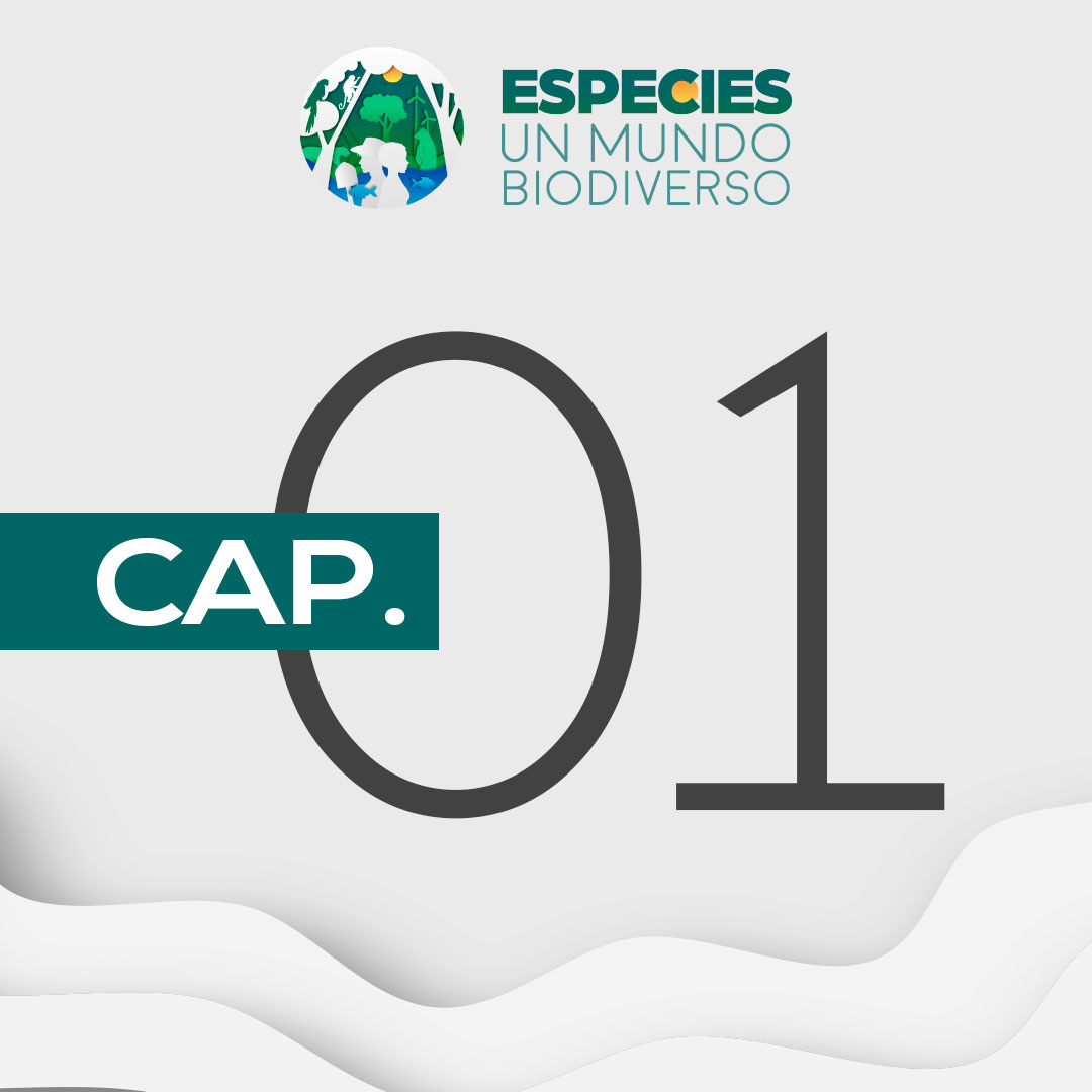 Especies, un mundo biodiverso - Capítulo 1
