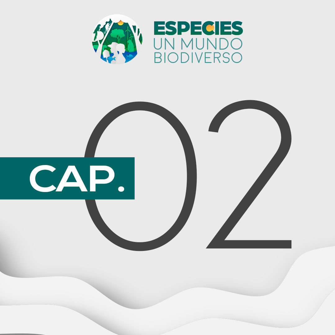 Especies, un mundo biodiverso - Capítulo 2