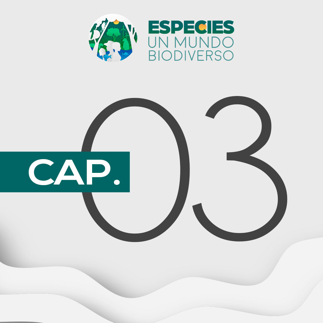 Especies, un mundo biodiverso - Capítulo 3