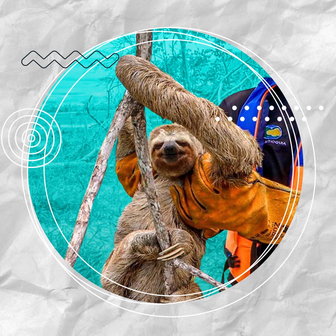 Colombia en pódcast, una serie de la Radio Nacional de Colombia