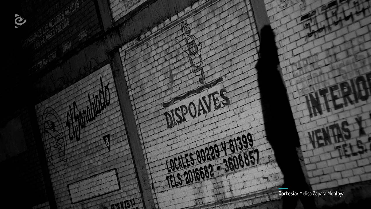 Paloquemao: el mercado de los vampiros, cortometraje colombiano completo en RTVCPlay