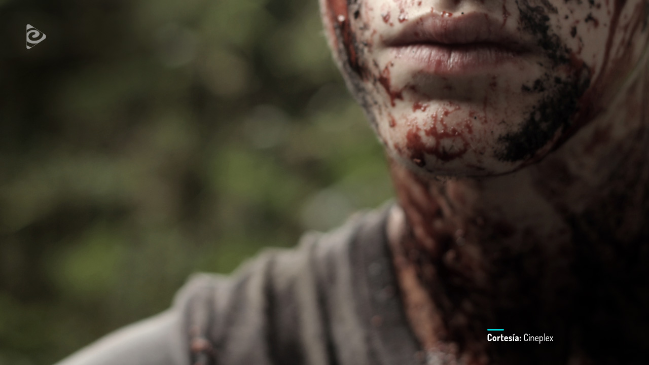 Terror en el bosque.