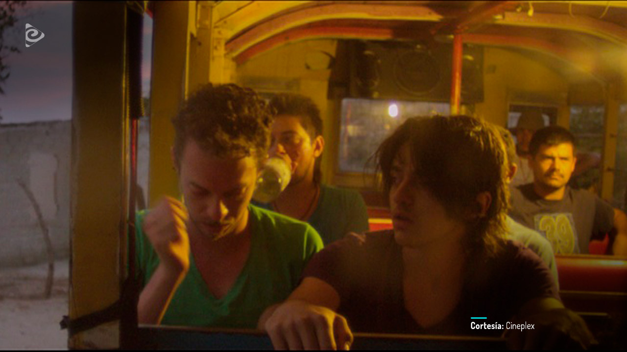 En búsqueda de respuestas.