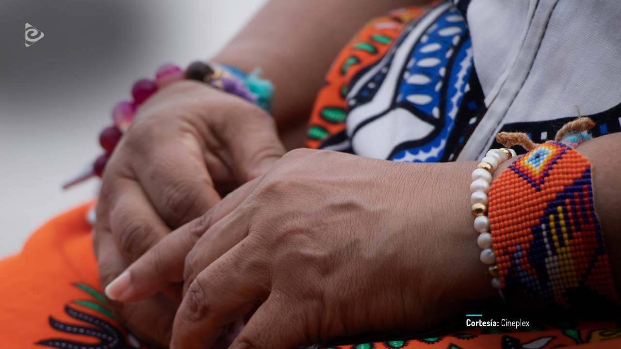 Entretejiendo un nuevo camino.