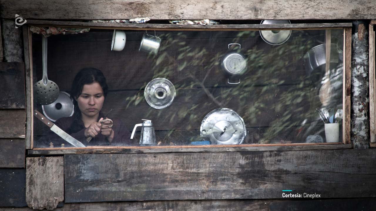 La Sirga, película colombiana disponible en RTVCPlay