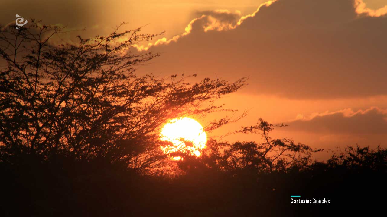 La eterna noche de las doce lunas, documental disponible en RTVCPlay