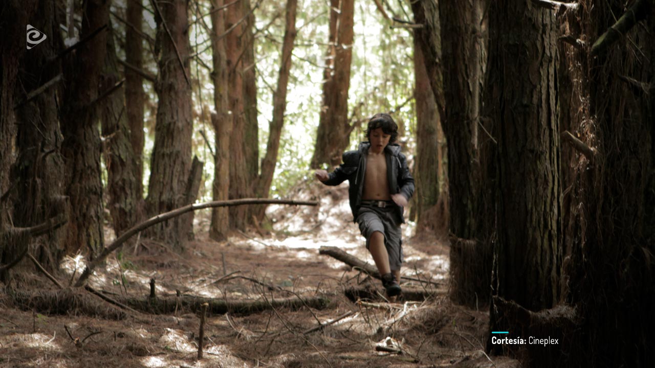 En medio del bosque.