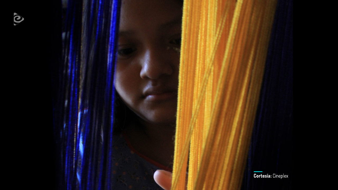 La eterna noche de las doce lunas, documental disponible en RTVCPlay