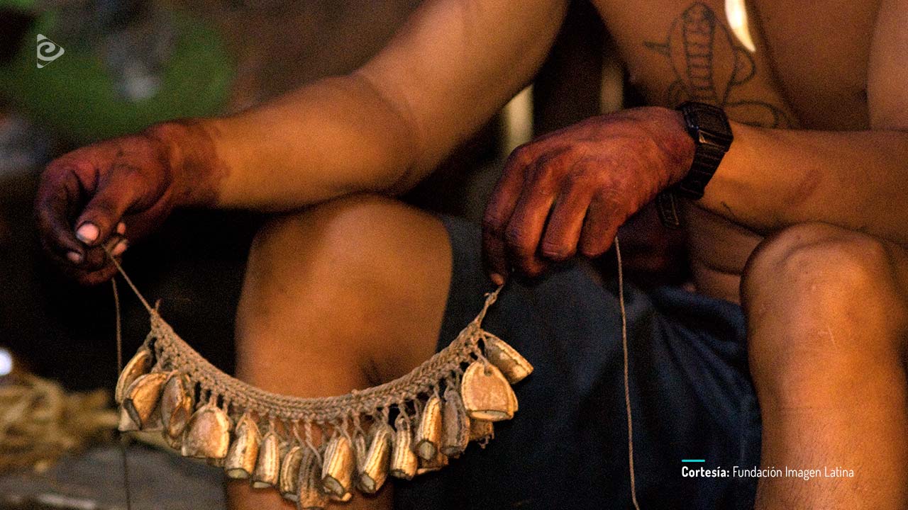 Apaporis, secretos de la selva, disponible en RTVCPlay