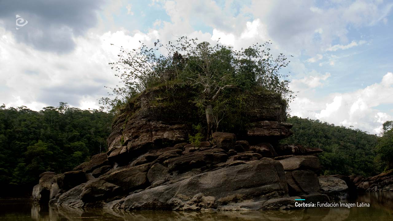 Apaporis, secretos de la selva, disponible en RTVCPlay