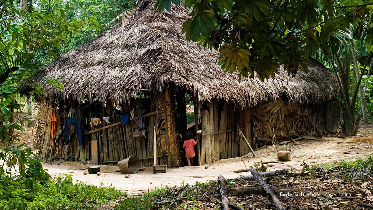 Apaporis, secretos de la selva, disponible en RTVCPlay