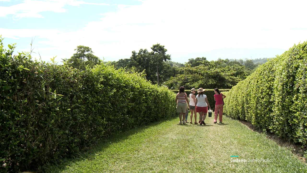 Hermanas, documental colombiano completo en RTVCPlay