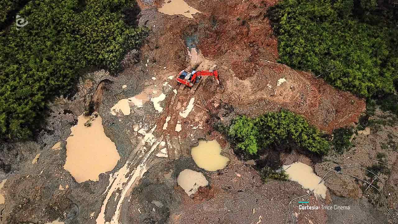 Manos que hablan, documental colombiano completo en RTVCPlay