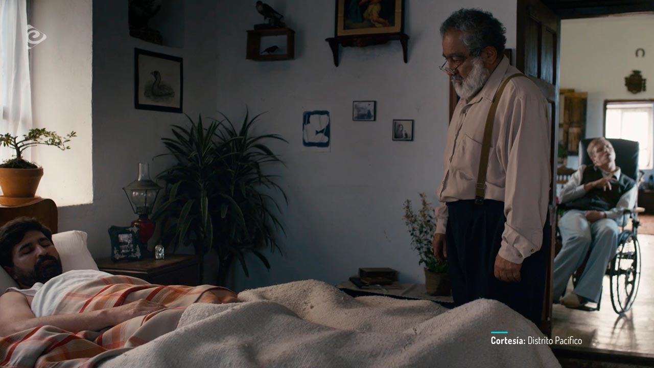 Nubes grises soplan sobre el campo verde, disponible en RTVCPlay