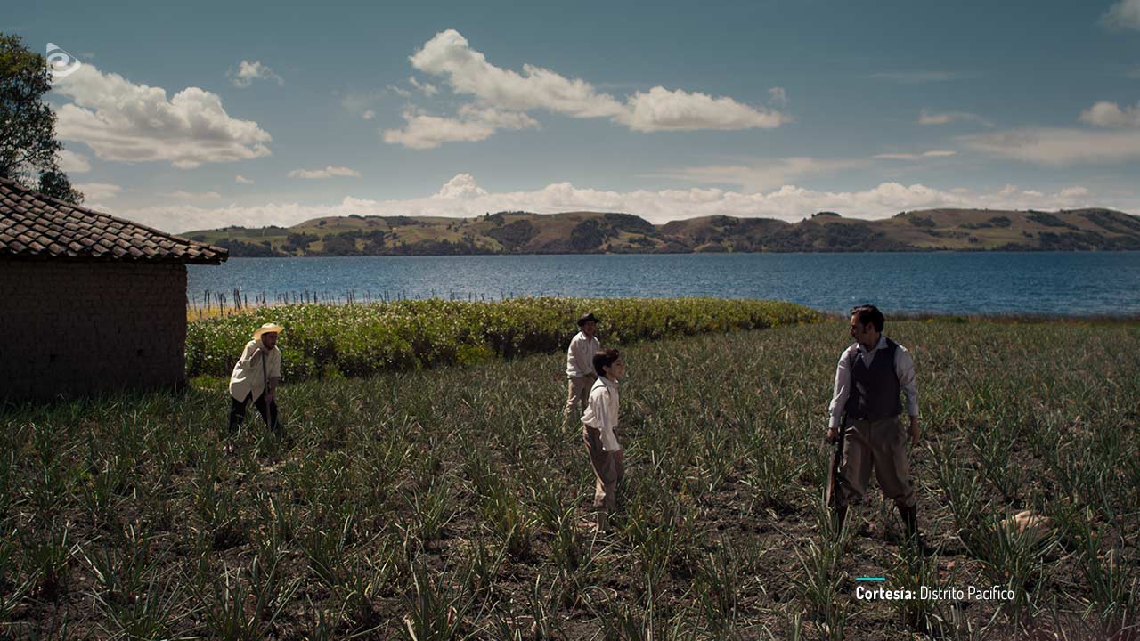 Nubes grises soplan sobre el campo verde, disponible en RTVCPlay