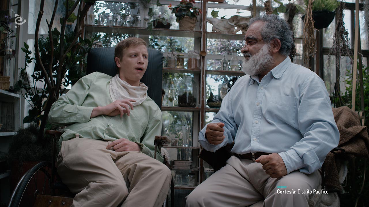 Nubes grises soplan sobre el campo verde, disponible en RTVCPlay