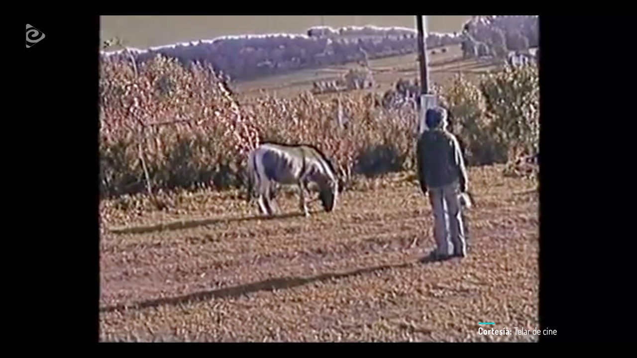 Pedazos rotos de sol, película colombiana completa en RTVCPlay