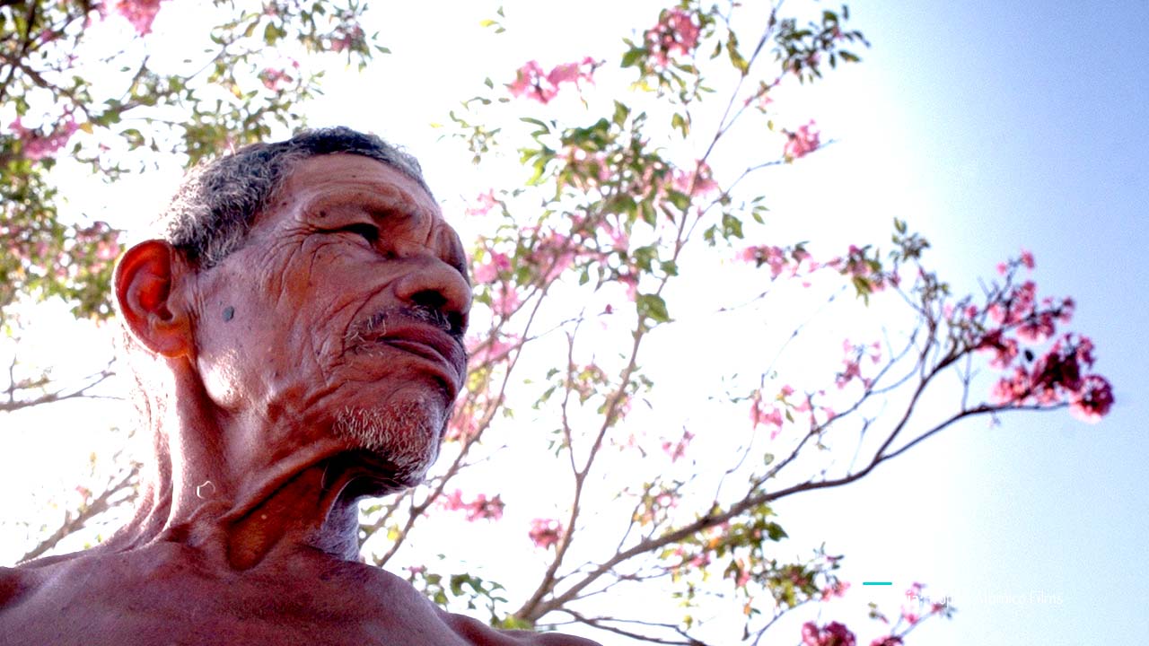 Positivo negativo, documental colombiano completo en RTVCPlay