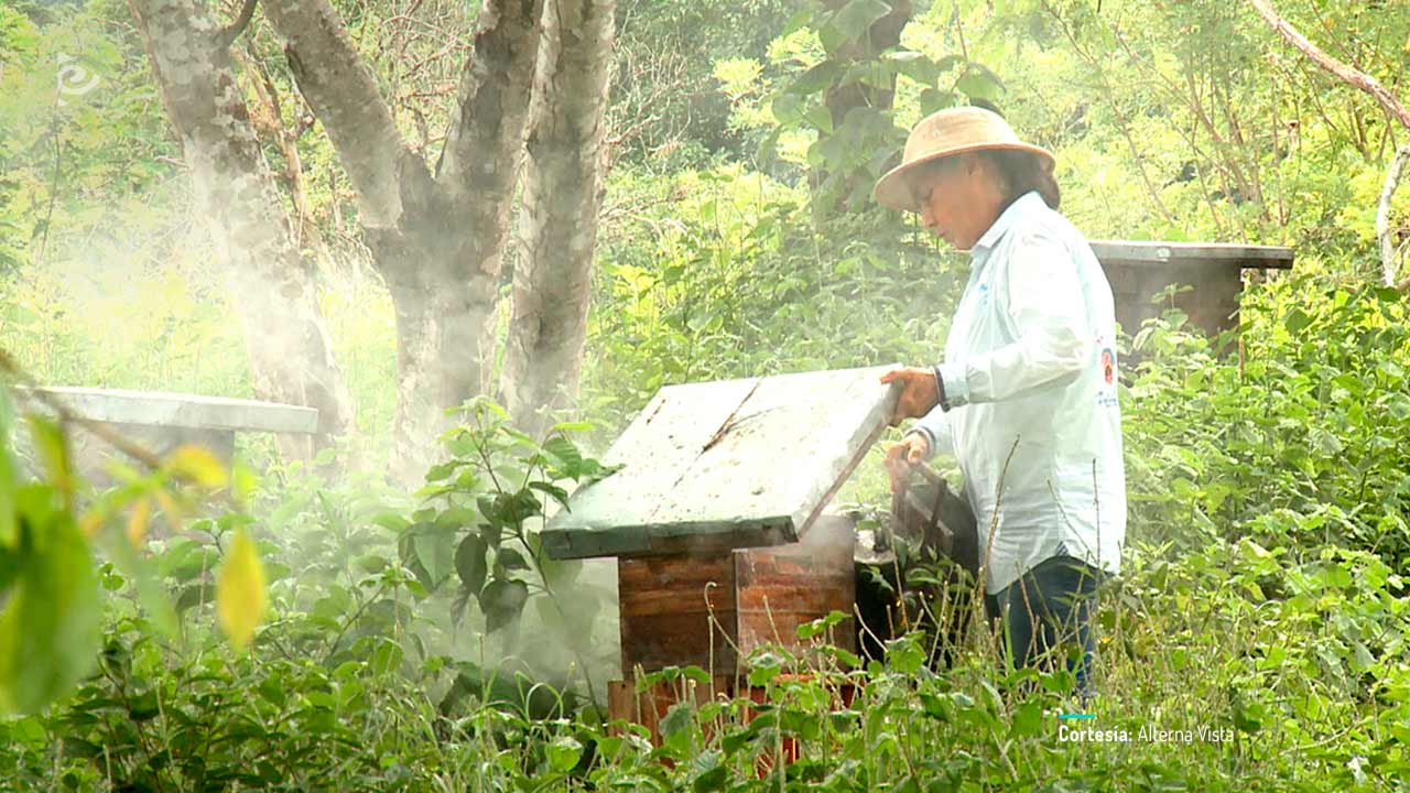 Sara, Neyda, Tomasa y las otras, documental colombiano completo en RTVCPlay